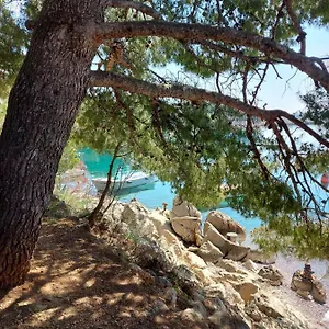 Apartment Ante And Dijana, Starigrad Paklenica
